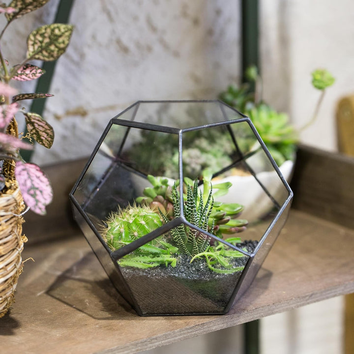 NCYP Handmade Blumentopf Transparentes fünfeckiges Dodekaeder Glas, Terrarium, auch für Sukkulenten,
