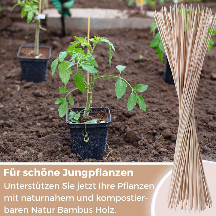 100 Pflanzstäbe Bambus Holz 90 cm lang 6 mm Dm. I Rankhilfe für Pflanzen I Bambusstäbe als Pflanzens