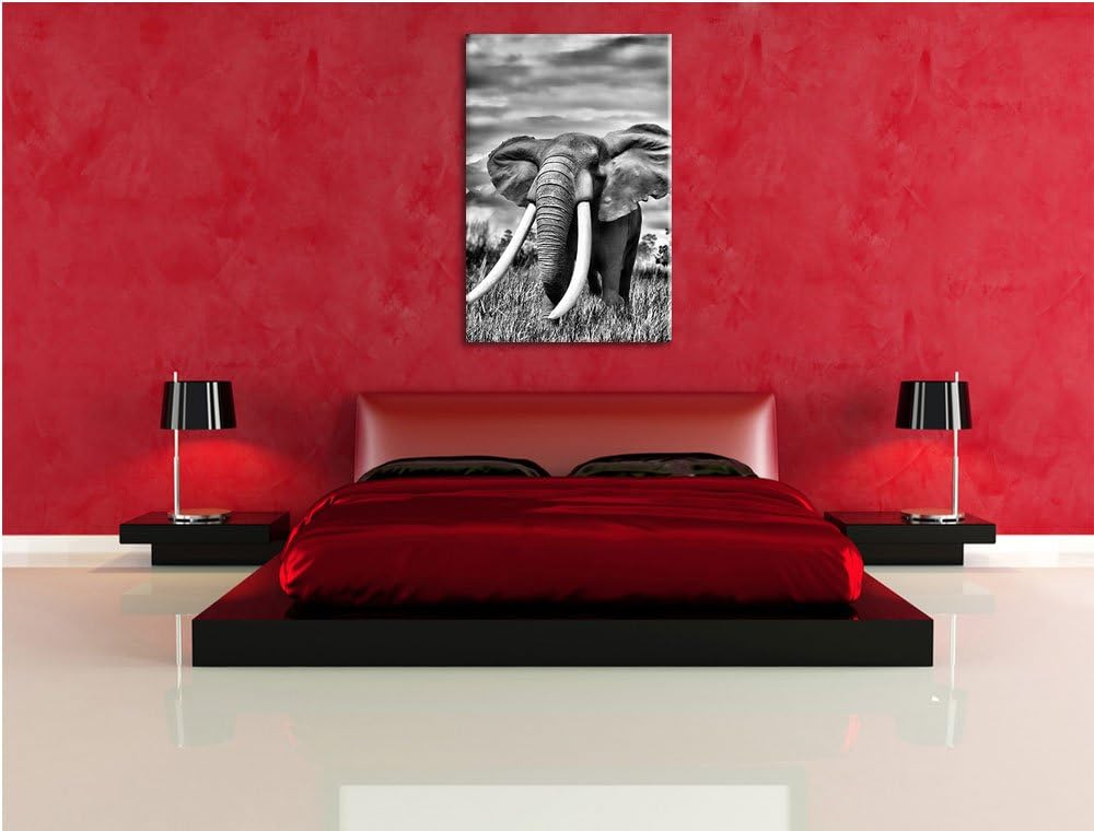 Pixxprint Stolzer Elefant in Savanne als Leinwandbild/Grösse: 100x70 cm/Wandbild/Kunstdruck/fertig b