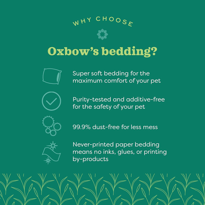 Oxbow Pure Comfort Kleintier-Bettwäsche – Geruchs- und Feuchtigkeitsabsorbierend, staubfreie Bettwäs
