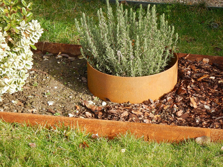 Rasenkanten Baumring Corten Kreis Ø 37 cm x 17,5 cm Edelrost - 3er Set