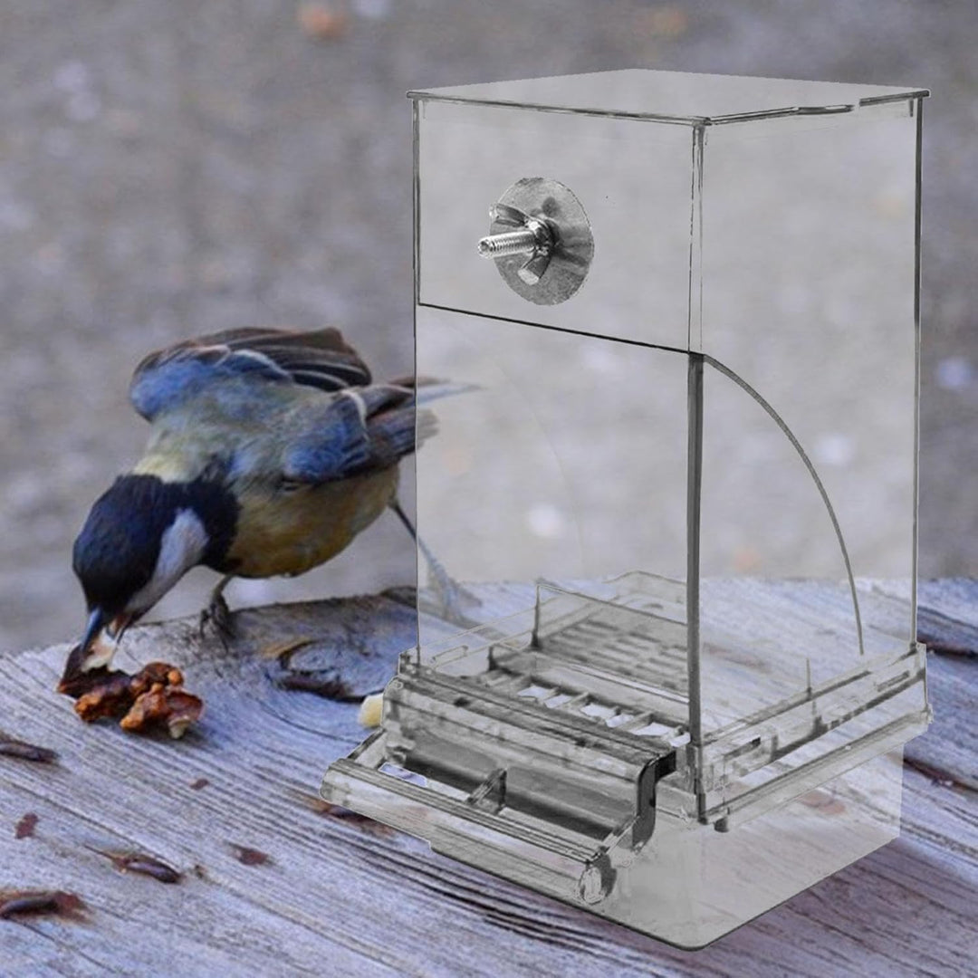 Vogelfutterspender Transparenter grosser Acryl-Futterbehälter | Automatischer Vogel-Futterbehälter F