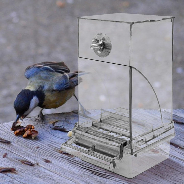 Vogelfutterspender Transparenter grosser Acryl-Futterbehälter | Automatischer Vogel-Futterbehälter F