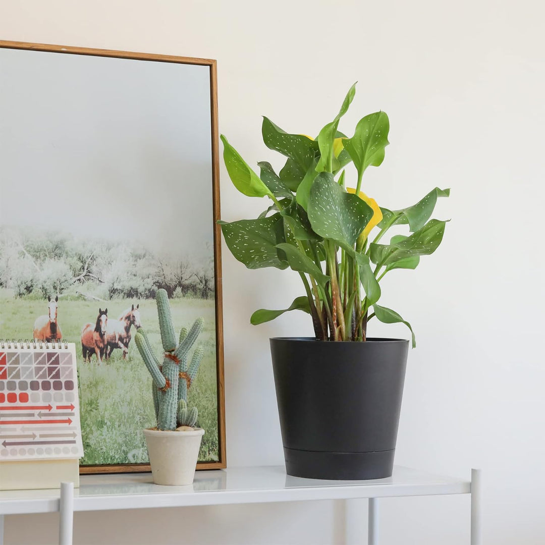 T4U 20cm Kunststoff Blumentopf mit Bewässerungssystem, 6er-Set Selbstbewässerung Übertopf mit Unters