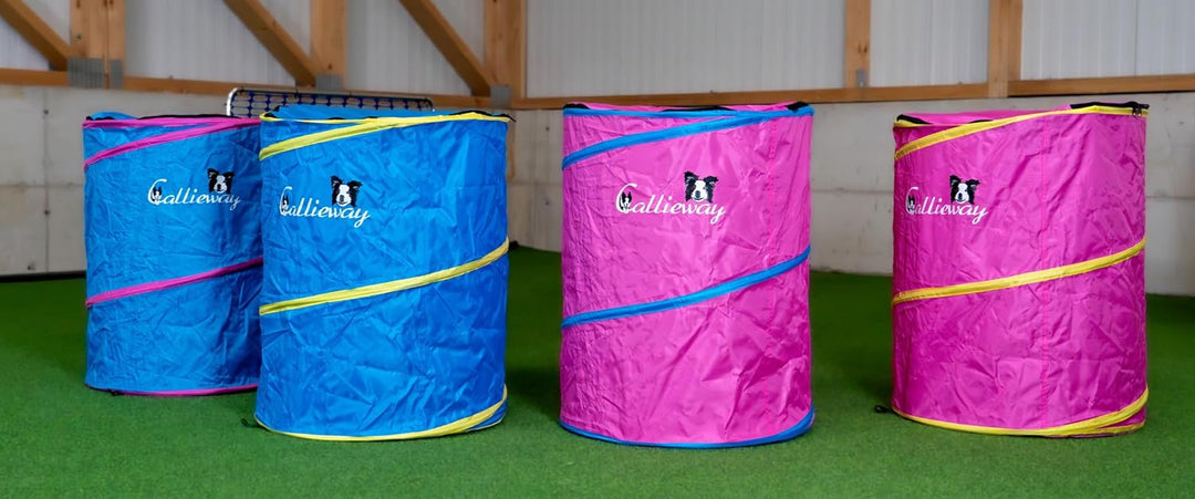 Callieway Hoopers Agility Barrel – Tonne/Fass für Hundetraining (Doppelpack, Blau) | Leicht, stabil