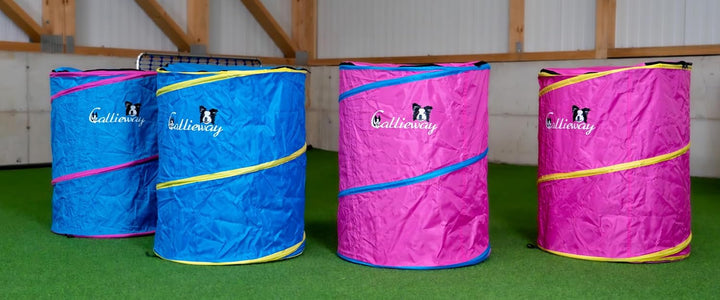 Callieway Hoopers Agility Barrel – Tonne/Fass für Hundetraining (Doppelpack, Blau) | Leicht, stabil