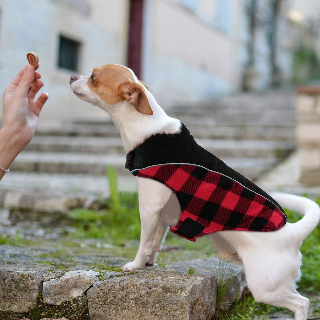 Warme Hundemantel Winter, Hundemantel mit Bauchschutz, Wintermantel für Hunde mit Reflektierend, Wen