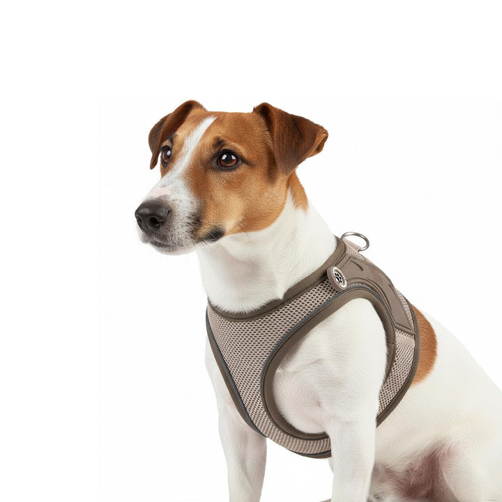 Max & Molly Hundegeschirr Matrix 2.0 Sand/XXS als Air Vest Geschirr, Step-In Geschirr mit Gotcha! Sm