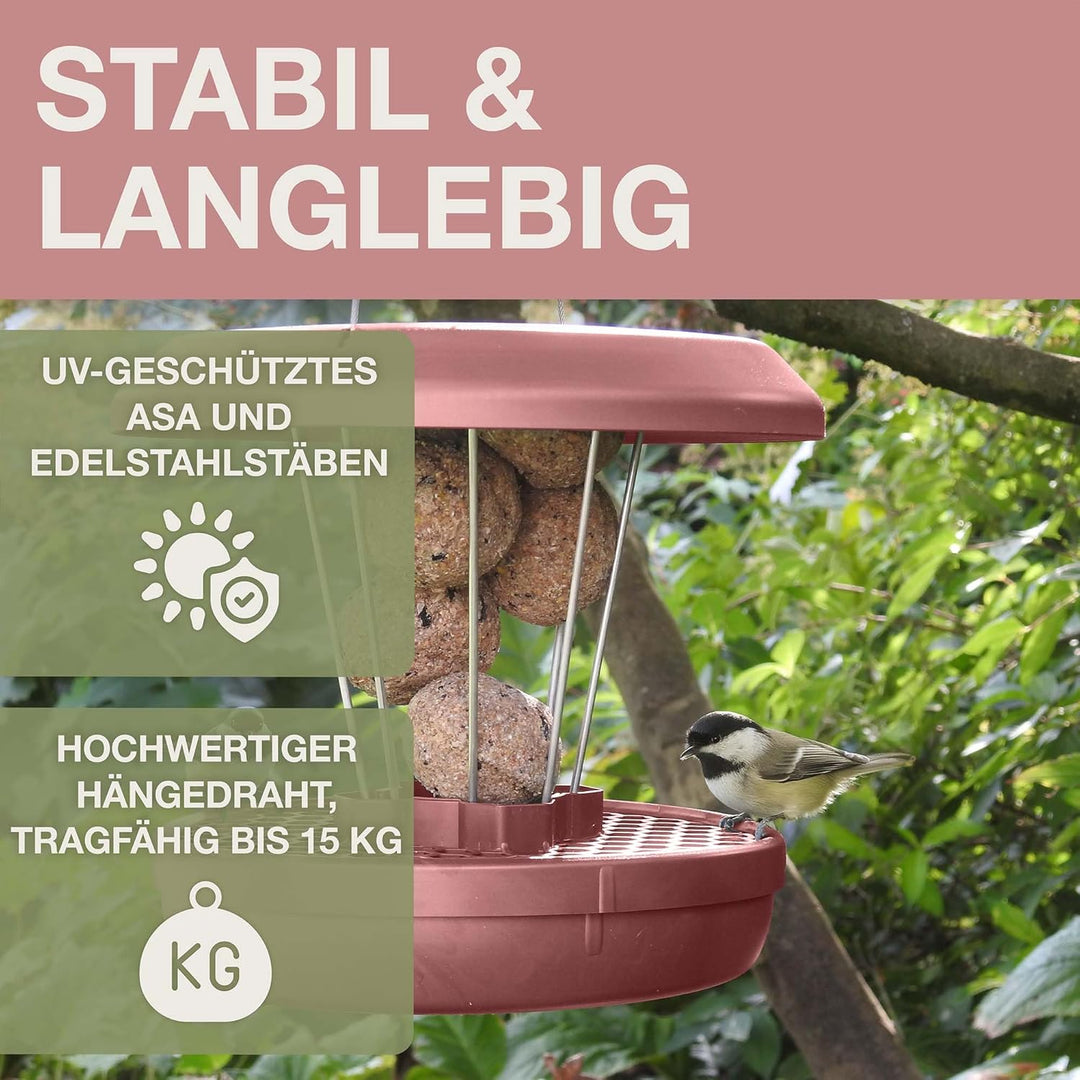 SWISSINNO Vogelfutterhaus zum Aufhängen – Lucerne SMART Birds - Meisenknödelhalter mit Auffangschale
