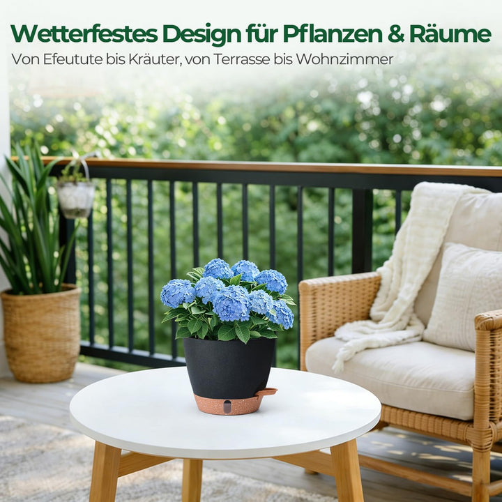 T4U 2er Set Automatische Bewässerung Übertopf 20 cm Durchmesser, Kräutertopf Küche, Kräutertöpfe – g