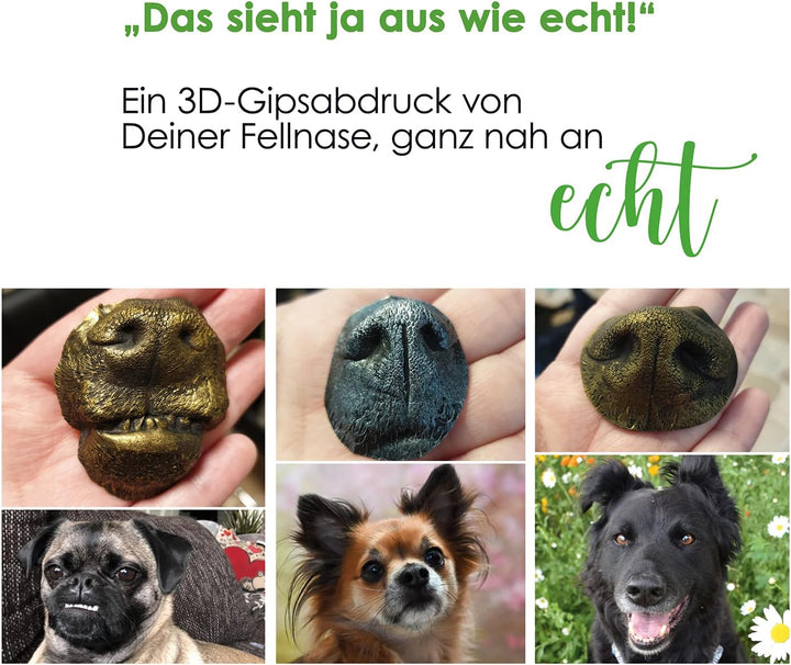 bambelina® Gipsabdruck Set Hundepfote und Hundenase. Verewigen Sie die Pfote + Schnauze vom Hund in