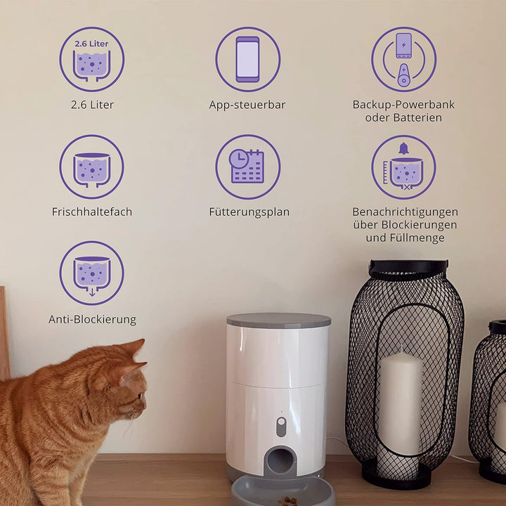 Pettadore Nutri Fresh - Futterautomat Katze/Hund - Smart und frisch mit Siegel, Automatischer Futter