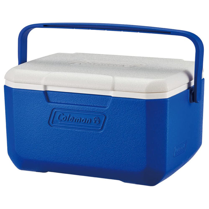 Coleman Performance 6 Personal Kühlbox, passive kleine Thermobox für Essen und Getränke, Eisbox mit