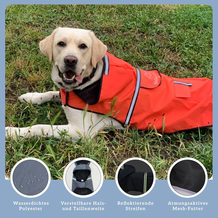 Bella & Balu Hunderegenmantel wasserdicht mit Kapuze und Reflektoren für sichere Gassigänge, Hundesp