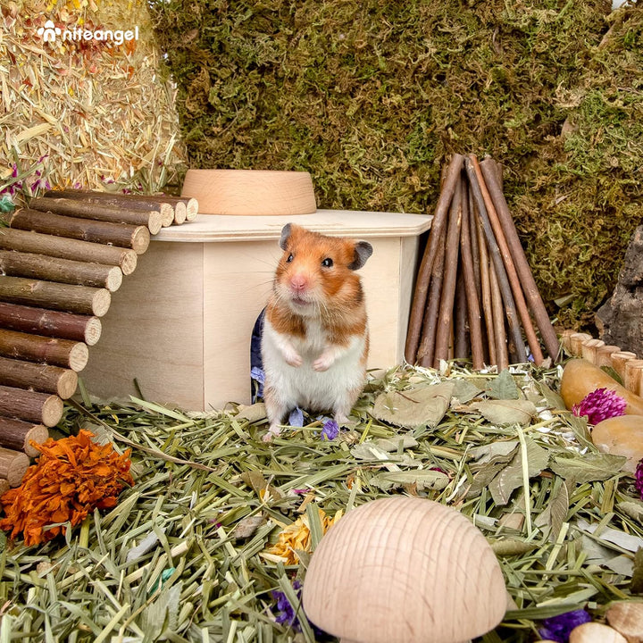 Niteangel Birkenkammer-Labyrinth-Hamsterversteck – kleine Haustiere, Waldhaus, Lebensräume, Dekorati