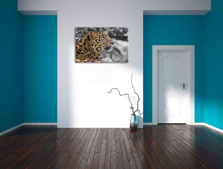 stolzer Leopard ruht im Schatten schwarz/weiss auf Leinwand, XXL riesige Bilder fertig gerahmt mit K