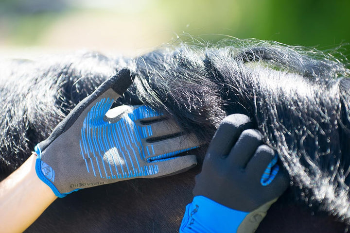 Roeckl Sports Reithandschuh Lynn, Ladies Sommer Handschuh, 2 Farben, Grösse 6-8.5 6 Anthrazit, 6 Ant