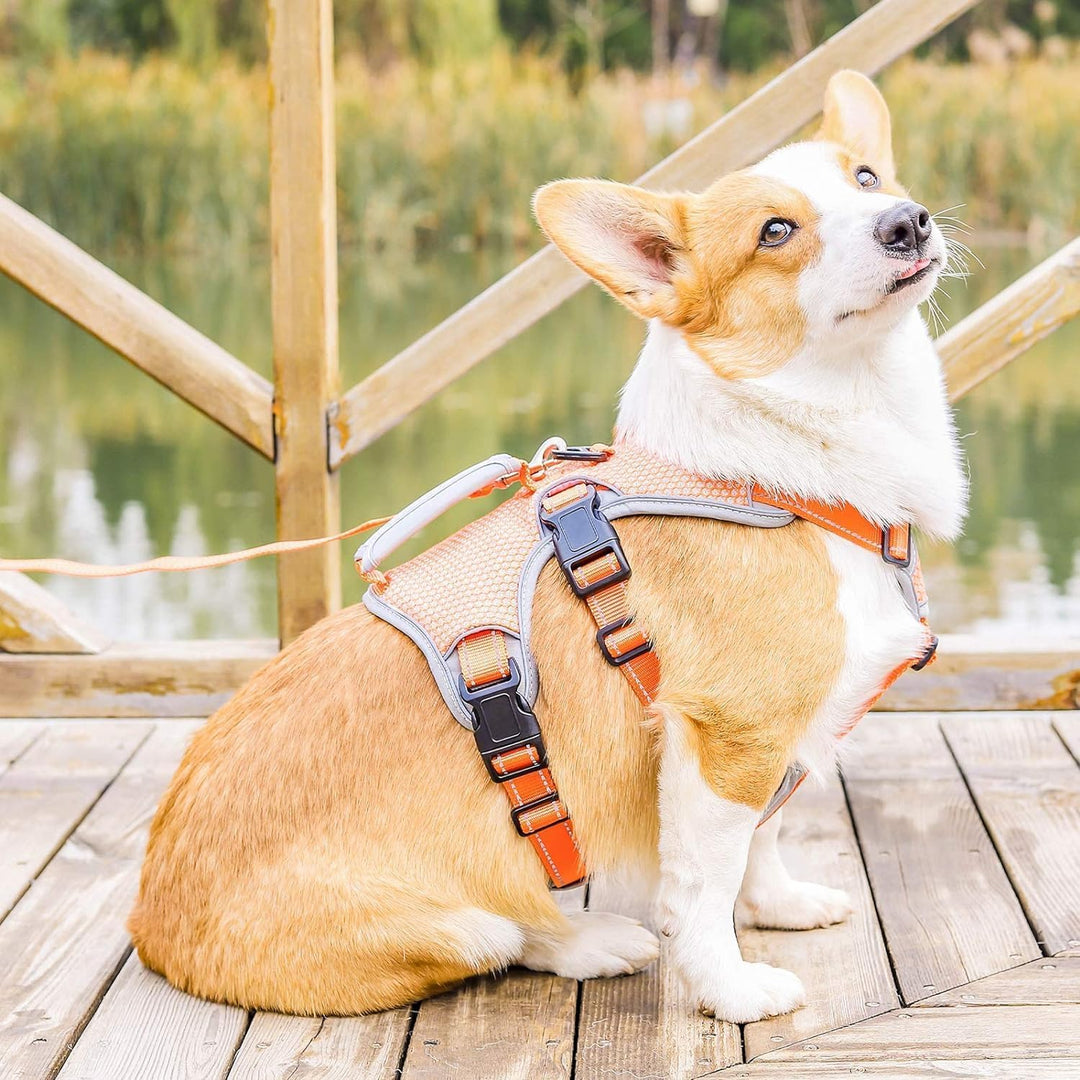 BELPRO Mehrzweck-Hundegeschirr, ausbruchsicher, kein Ziehen, reflektierend, verstellbare Weste mit s