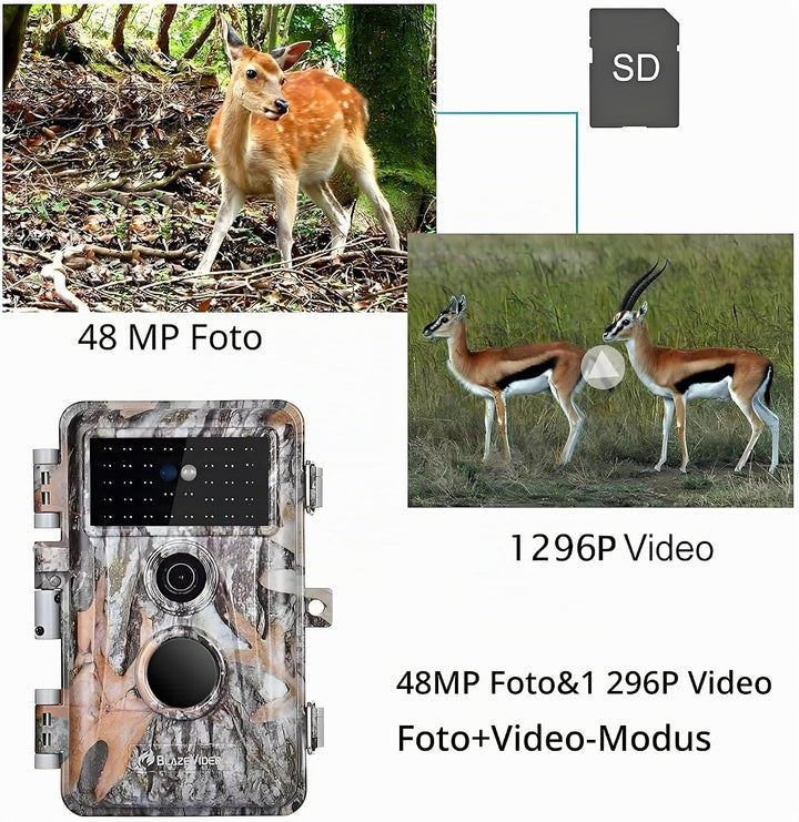 BlazeVideo 2tlg. Wildkamera 32MP 1296P HD Wildtierkamera mit Nachtsicht Bewegungsmelder, IP66 Wasser