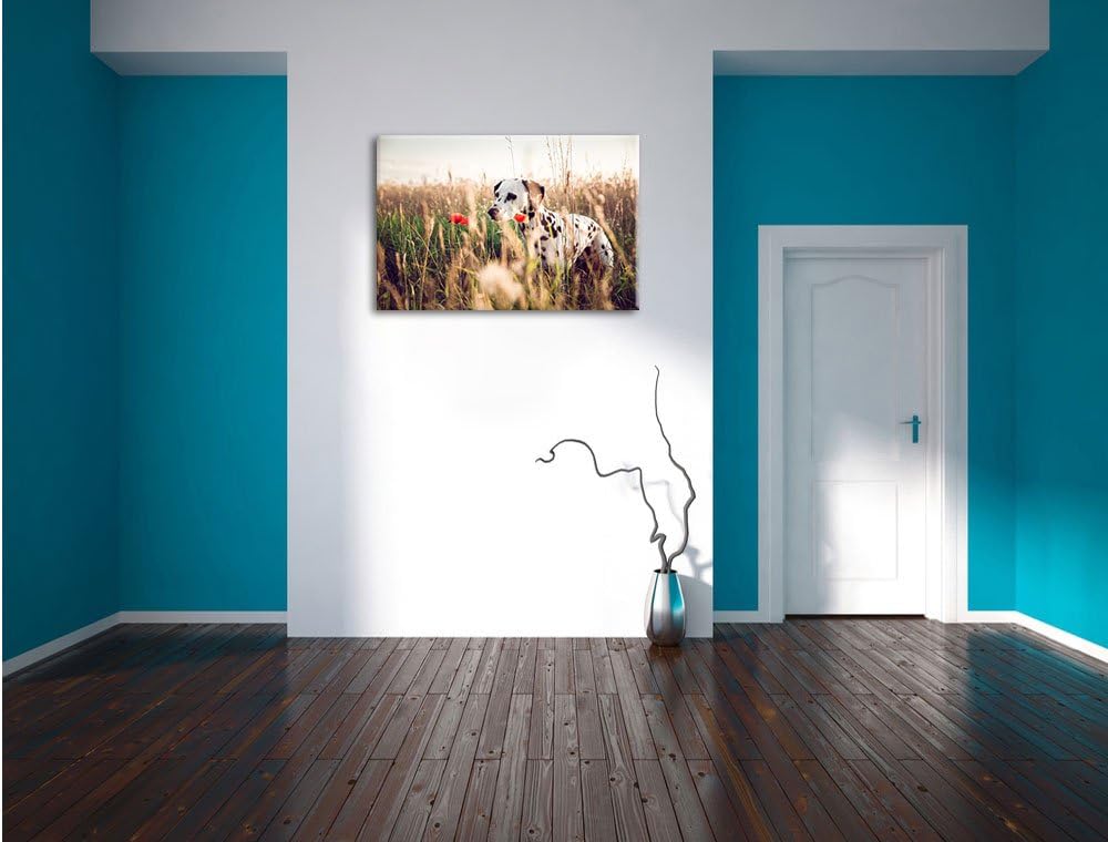 Neugieriger Hund im Feld, Format: 100x70 auf Leinwand, XXL riesige Bilder fertig gerahmt mit Keilrah