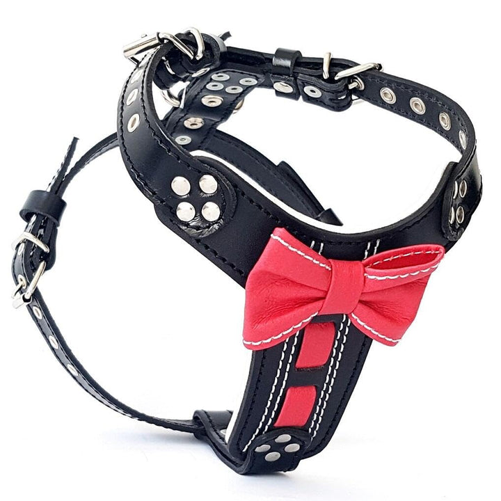 Bestia |Bowtie| Leder Brustgeschirr für Kleine bis Mittelgrosse Hunde. 100% Leder. Handgefertigt. To