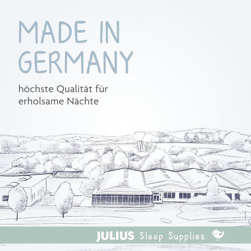Julius Zöllner 1550090400 - Wiegenmatratze (eckig) Dr. Lübbe Air Plus, Mittel, 90 x 40 cm, Weiss 90