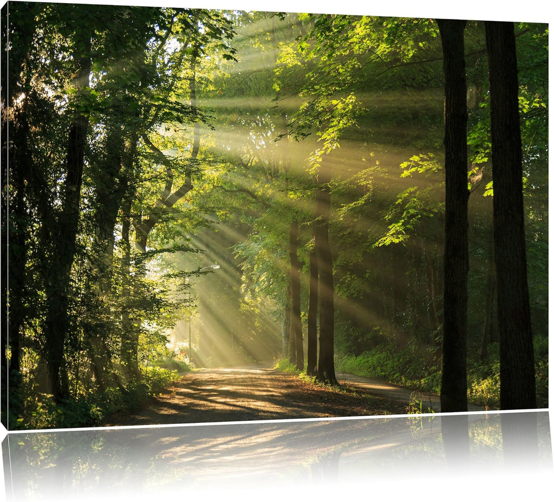 Pixxprint Waldweg im Frühling als Leinwandbild/Grösse: 100x70 cm/Wandbild/Kunstdruck/fertig bespannt