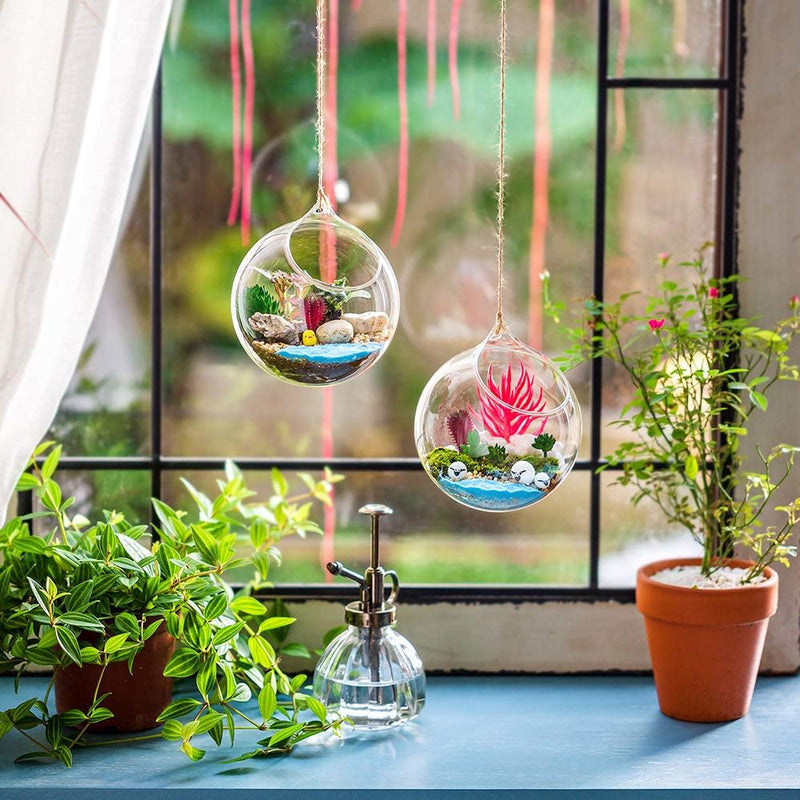 Glasseam Hängende Glaskugel Vase Glaskugel 6 Pcs Grosse Öffnung Sukkulenten Aufhängen Terrarium Glas