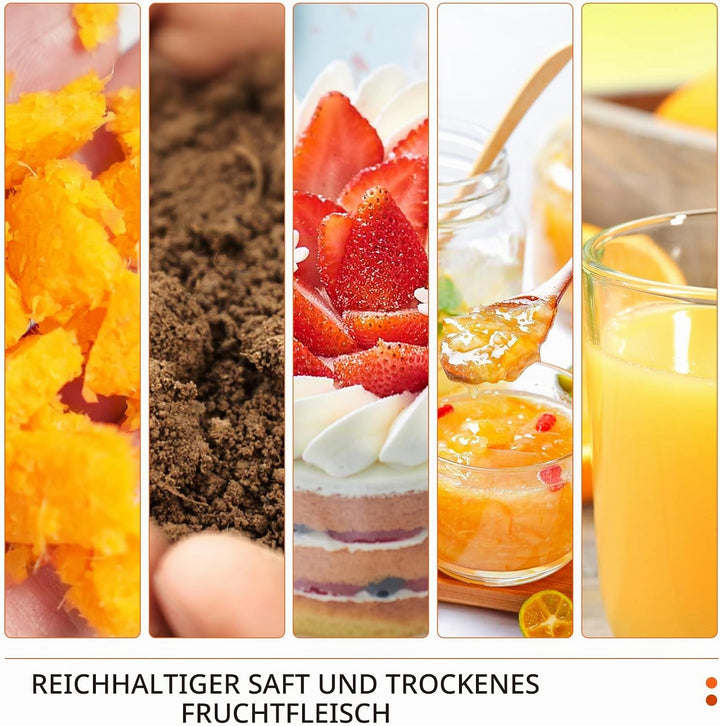 Muchen Slow Juicer Entsafter Gemüse und Obst Testsieger 150W Leiser Motor, Rückwärtszerkleinerung, E