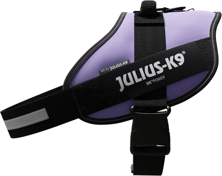 JULIUS K-9 IDC Powergeschirr, Grösse: 2XL/3, Lila 16IDC-C-0 Violett 2XL/3, Violett 2XL/3
