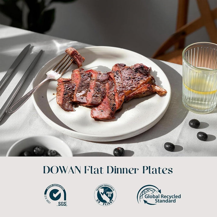 DOWAN Steingut Dinner Teller Set, 10 Inch Dessert Plates 6 Stück Tellerset Keramik, 26cm Serviertell