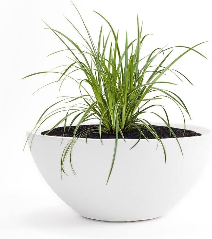 Pflanzwerk® Pflanzkübel Pflanzschale Bowl Ø 36cm Weiss *Frostbeständige Blumenschale* *Deutsche Prem