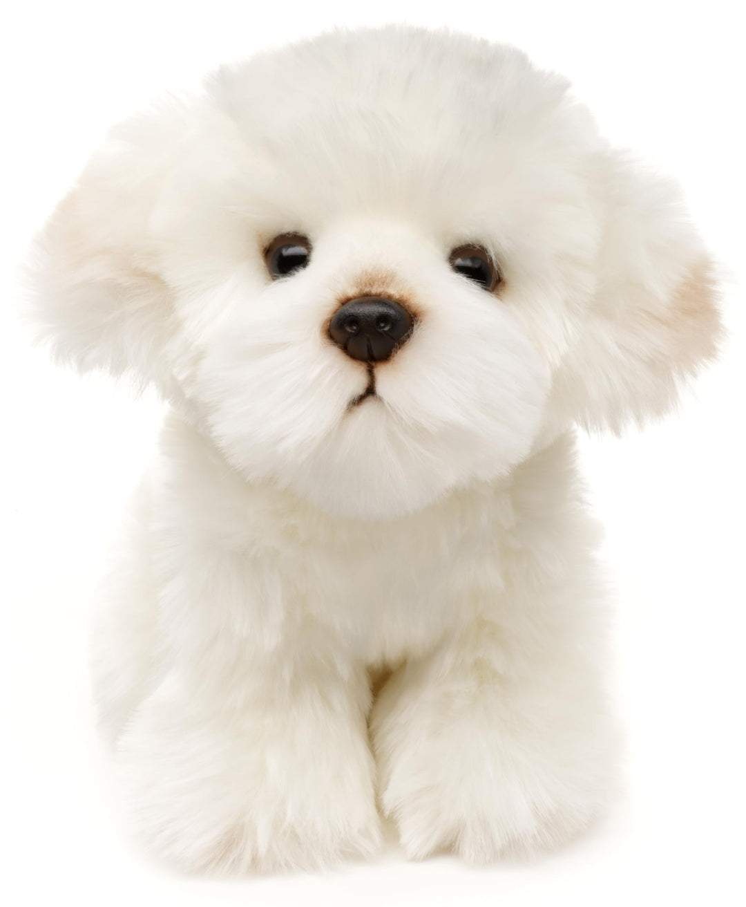Uni-Toys - Malteser - 18 cm (Höhe) - Plüsch-Hund, Haustier - Plüschtier, Kuscheltier Malteser (18 Cm