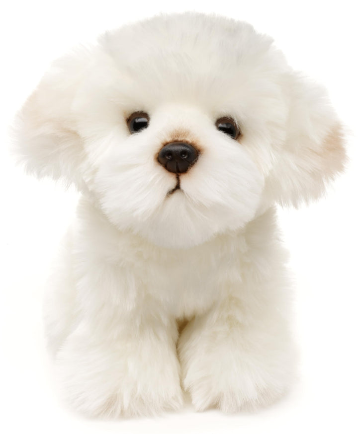 Uni-Toys - Malteser - 18 cm (Höhe) - Plüsch-Hund, Haustier - Plüschtier, Kuscheltier Malteser (18 Cm