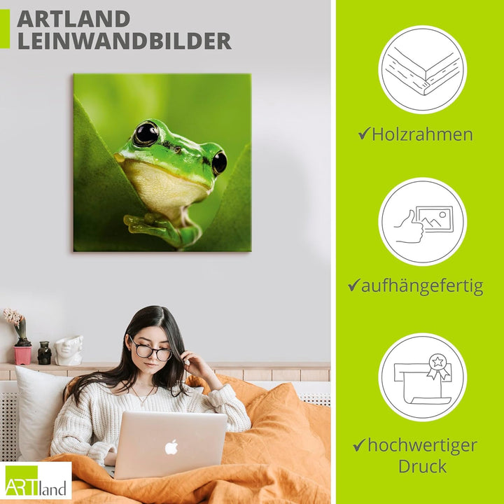 ARTland Leinwandbilder Wandbild Bild auf Leinwand 50x50 cm Frosch Tiere Pflanze Natur Süss Lustig T5