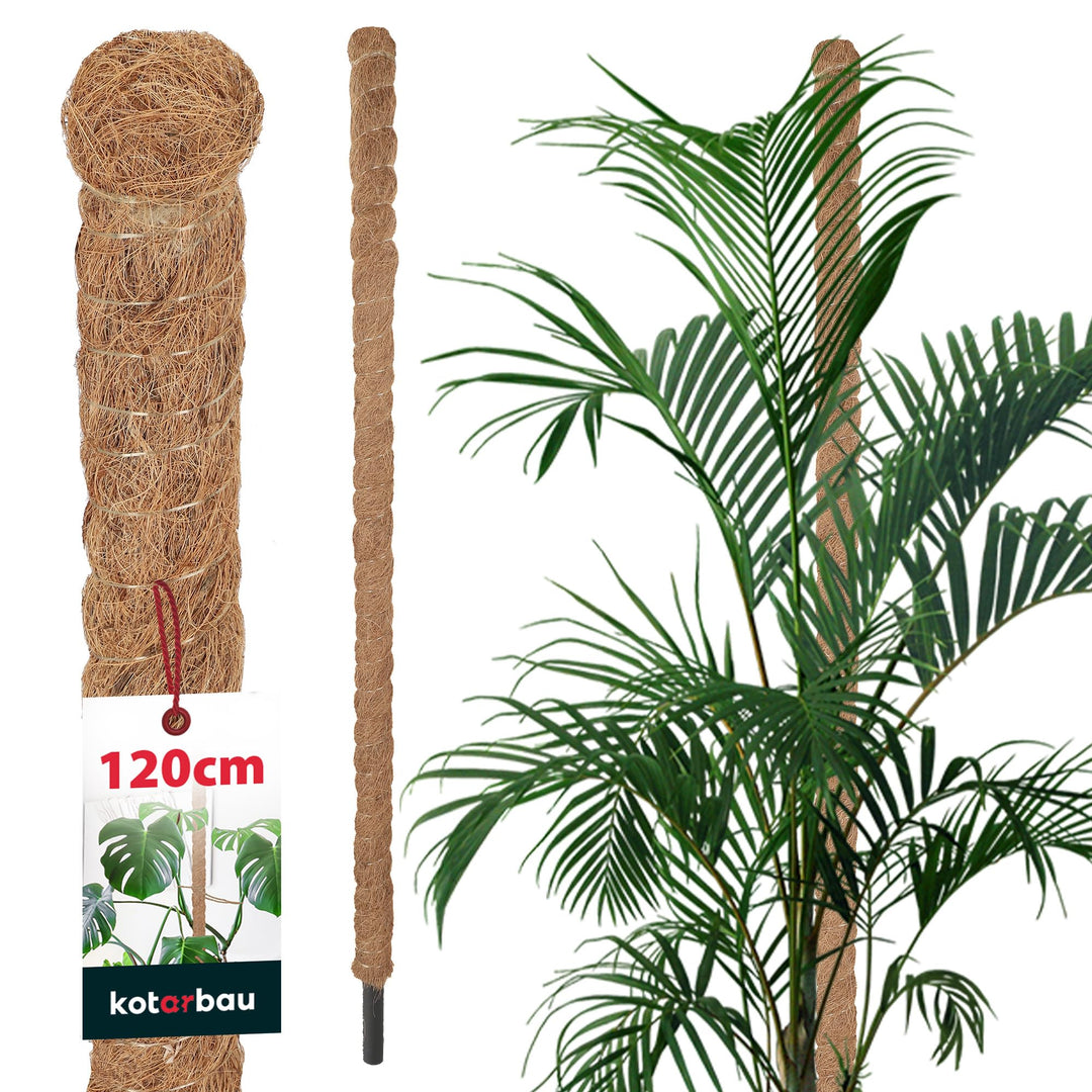 KOTARBAU® Moosstab für Monstera Kokos Natural ⌀ 3,2 x 120 cm Pflanzenstab Rankhilfe für Monstera Pfl