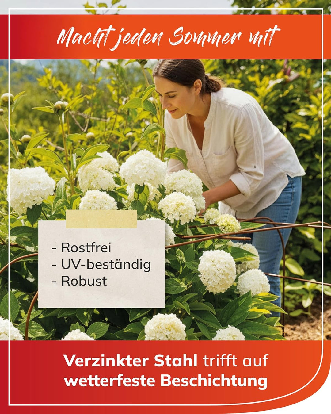 bellissa Annabelle Hortensienstütze 65 (2er Set) - Pflanzenstütze aus Stahl - 65 cm x 57 cm x 60 cm