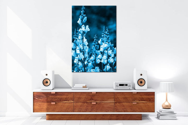 deyoli Löwenmaul Wildblume Format 80x60 Effekt: Monocrome Blau als Leinwandbild, Motiv fertig gerahm