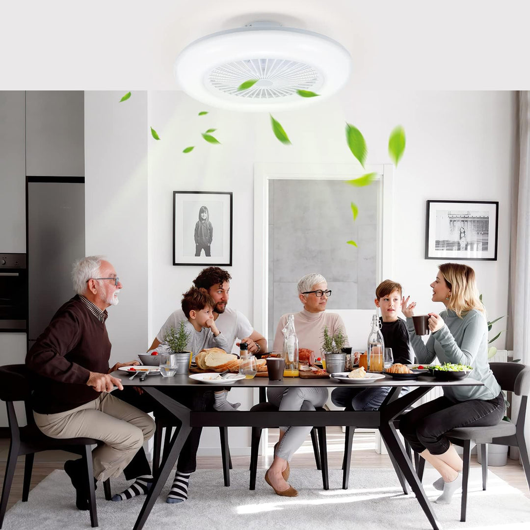Daromigo Deckenventilator Mit Beleuchtung, 80W LED Stufenloses Dimmen Ventilator Beide Richtungen Dr