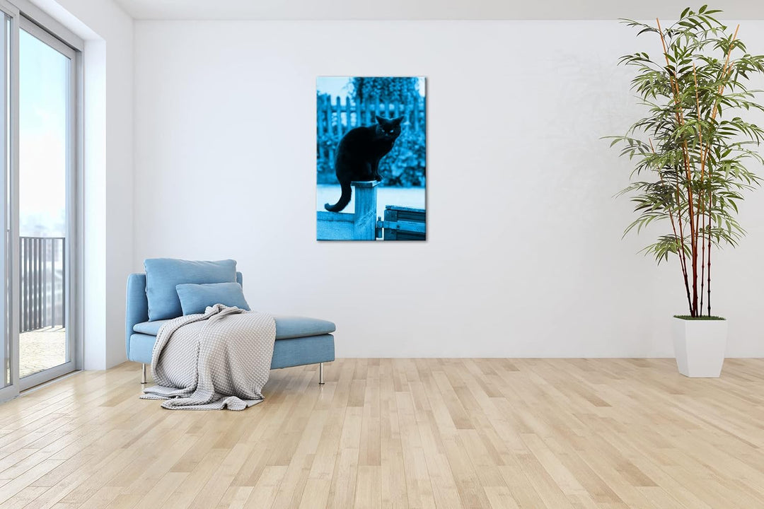 deyoli thronende Schwarze Katze Format 100x70 Effekt: Monocrome Blau als Leinwandbild, Motiv fertig