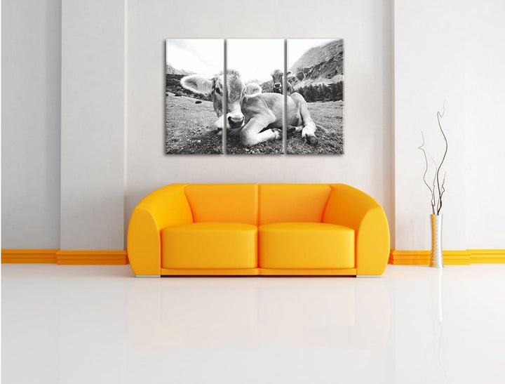 Pixxprint Almkuh in den Bergen als Leinwandbild/Grösse: 3 Teilig (120x80) cm/Wandbild/Kunstdruck/fer