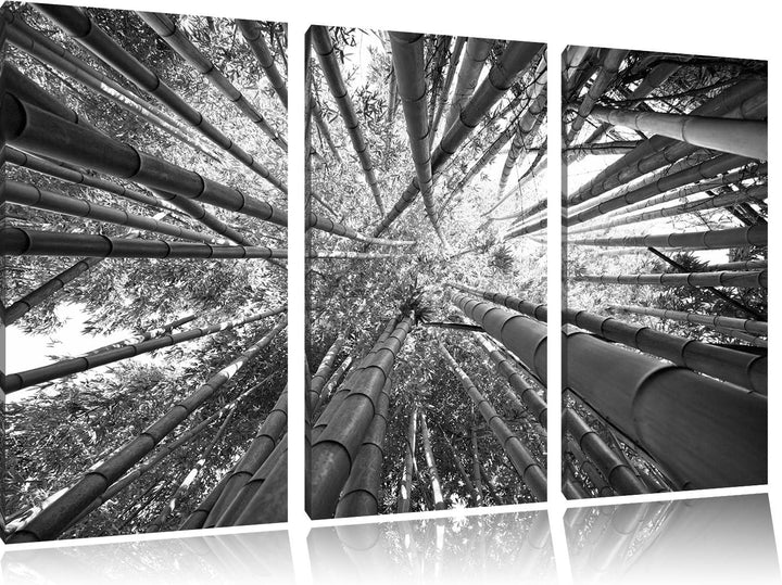 Pixxprint Grüner Bambus Kunst B&W als Leinwandbild | Grösse: 3 Teilig (120x80) | Wandbild| Kunstdruc