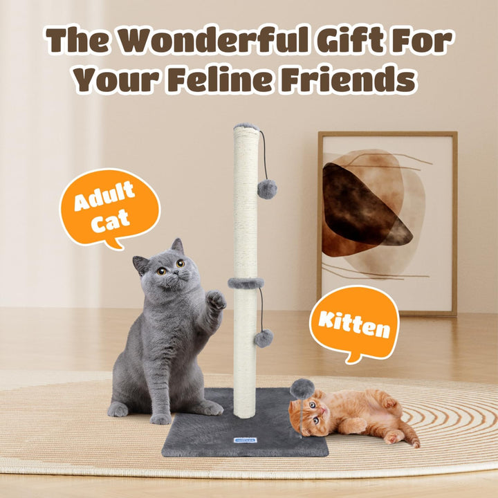 Nobleza Katzen-Kratzbaum, 80 cm Hoch Kratzsäule, Kratzstamm für mittelgrosse und grosse Katzen mit S