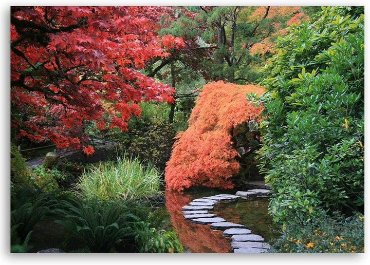 Leinwandbild XXL Garten Wandbild Kunst Japan Grün 120x80 cm Leinwandbild 120x80 cm Grün_d, Leinwandb