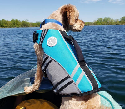 VIVAGLORY Sportstil Schwimmweste für Hunde mit Hervorragendem Auftrieb, Einstellbar & Langlebig Schw