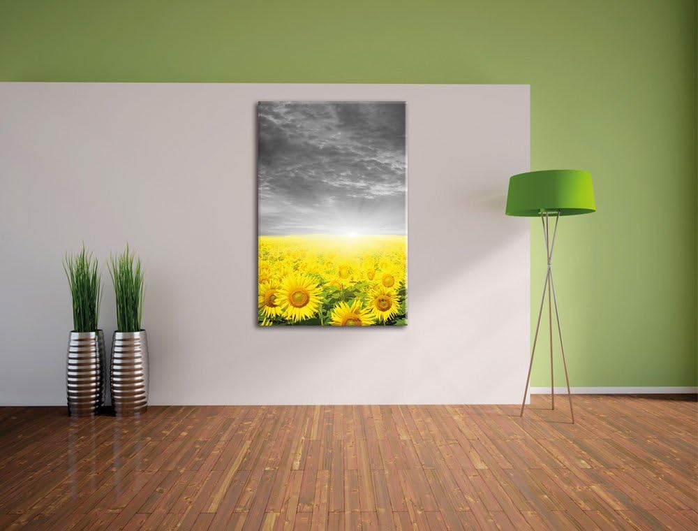 Pixxprint Sonnenblumenfeld bei Sonnenuntergang als Leinwandbild/Grösse: 100x70 / Wandbild/Kunstdruck