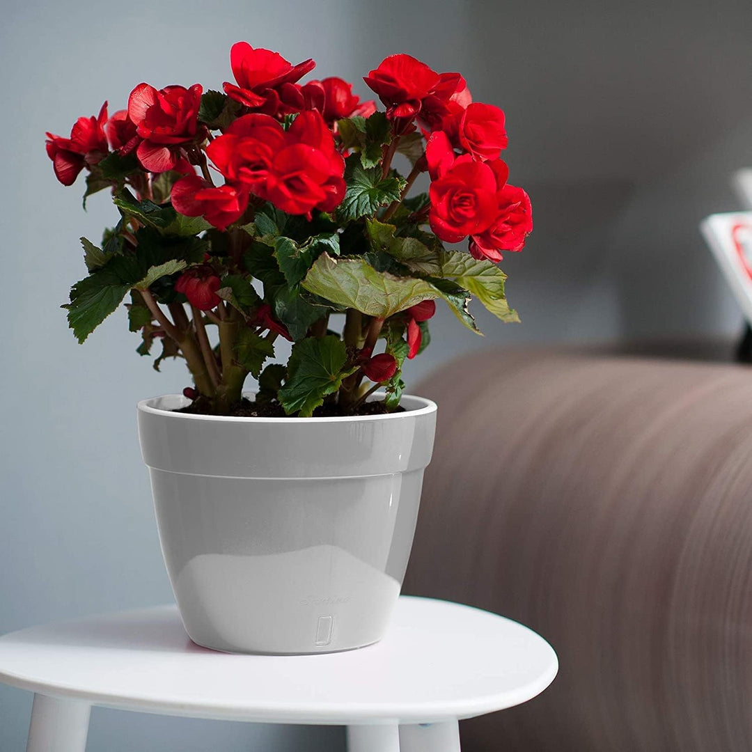 Santino ASTI 3er Set 20CM Selbstwässernder Blumentopf mit Wasserstandsanzeiger - Rund Premium Qualit