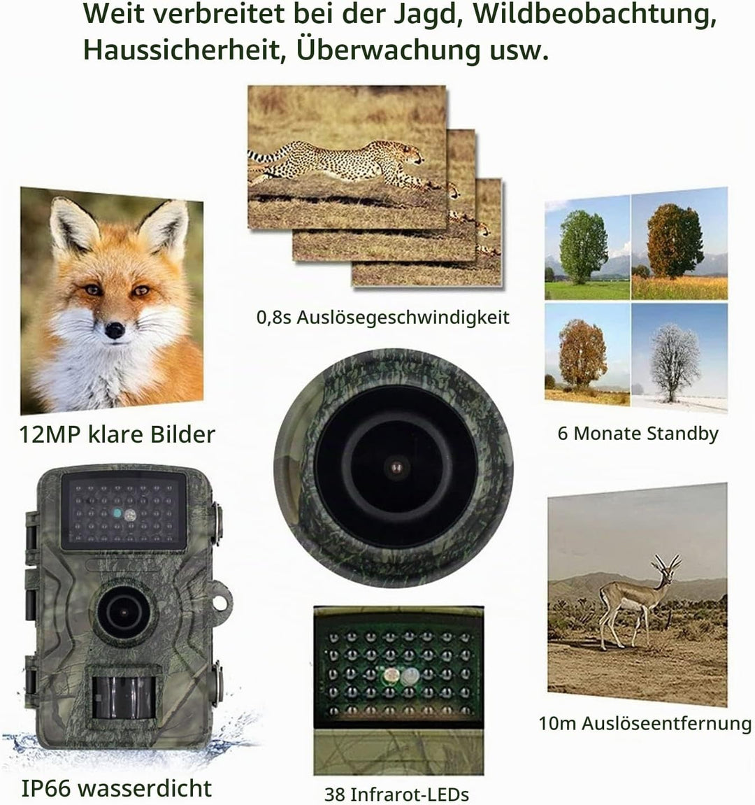Wildkamera, Wildkamera, 1080P, Wasserdichte Bauernhof- und Hofkamera mit 38 LEDs für Heimüberwachung