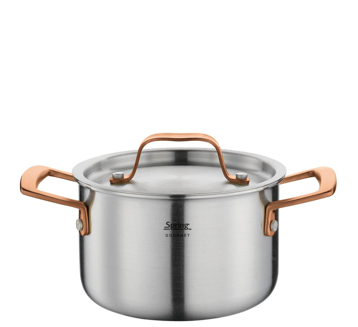 Spring Kochtopf GOURMET, mehrschichtiger Topf mit Deckel aus Edelstahl, backofengeeignet, mit Innens