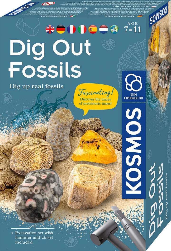 KOSMOS 617226 Fossilien Ausgrabungs-Set, Grabe echte Versteinerungen und Bernstein selbst aus, mit H